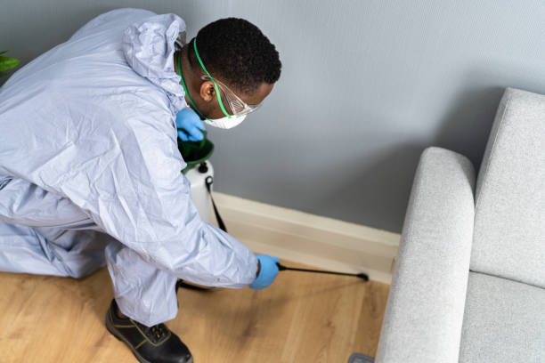 Best Fumigation Services  in Greendale, WI